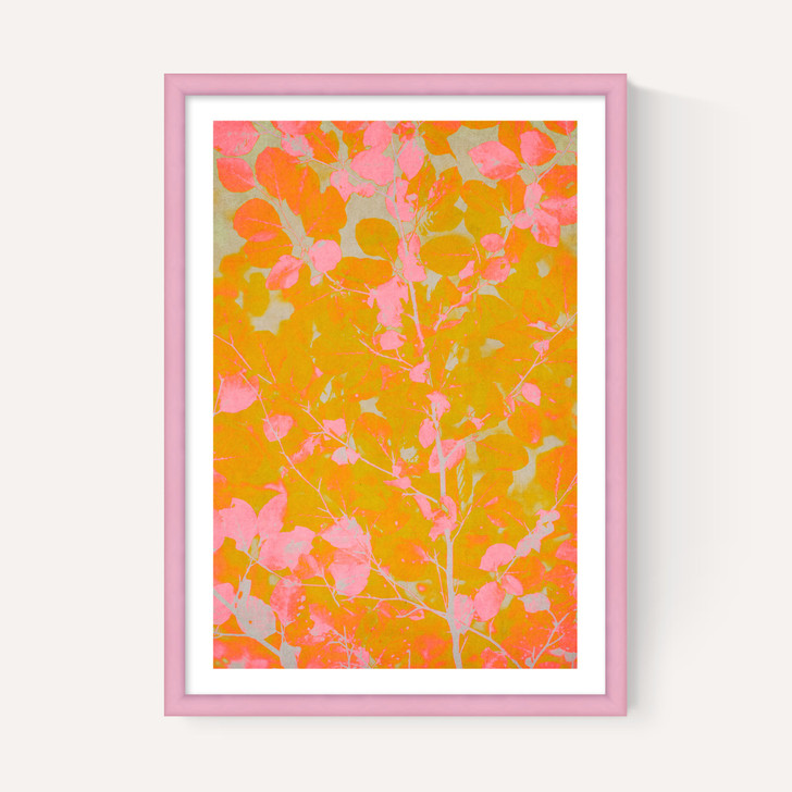 Colourful Autumn
