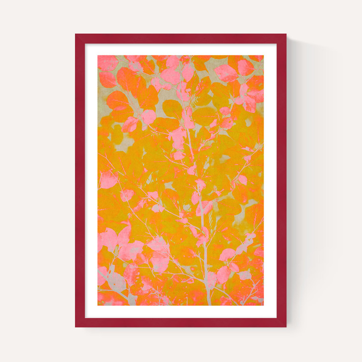 Colourful Autumn