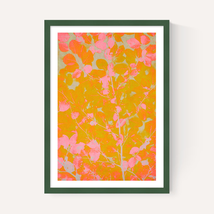 Colourful Autumn