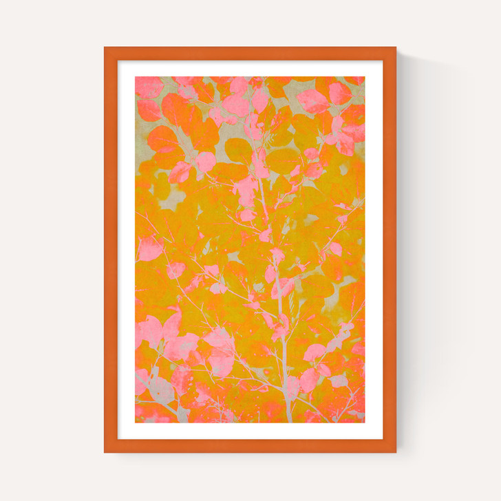 Colourful Autumn