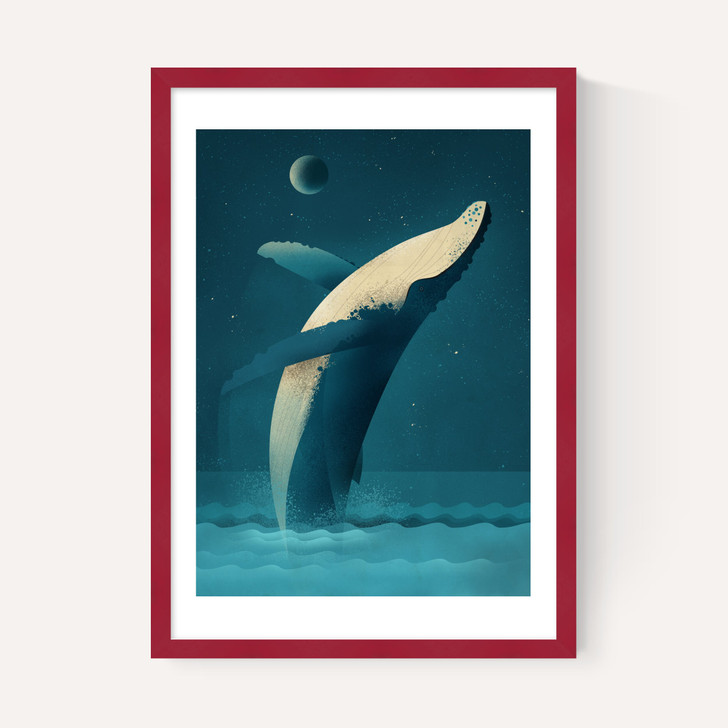 Humpback Whale