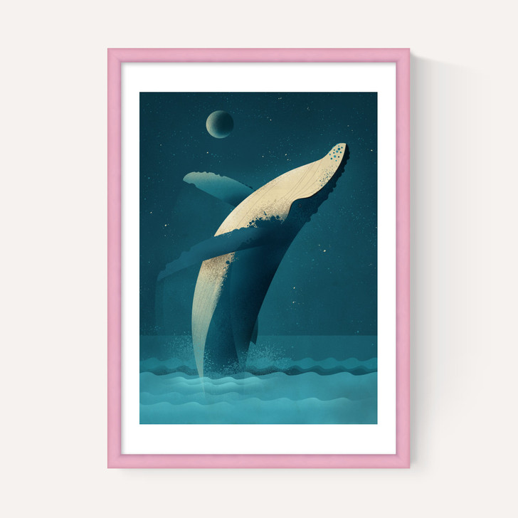 Humpback Whale