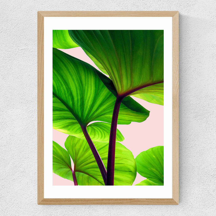 Charming Sequence Medium Oak Frame