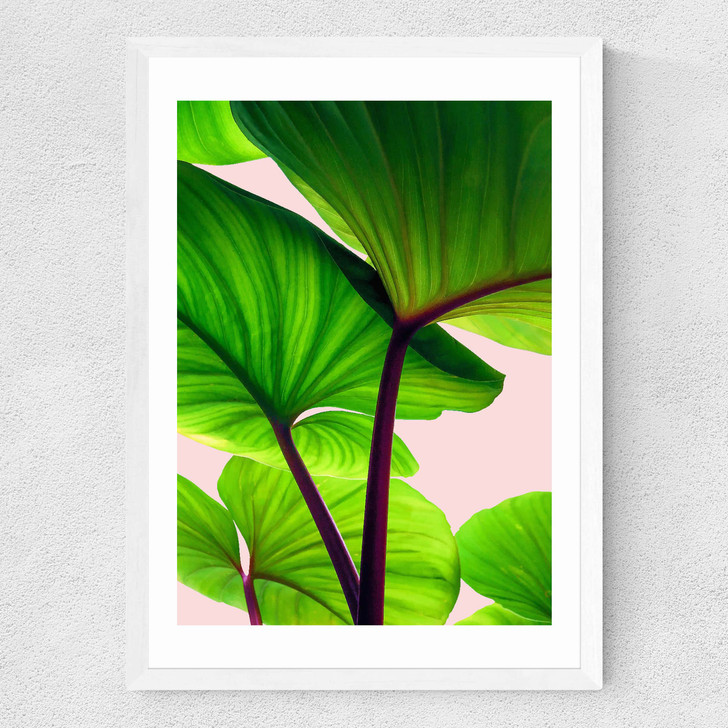 Charming Sequence Medium White Frame