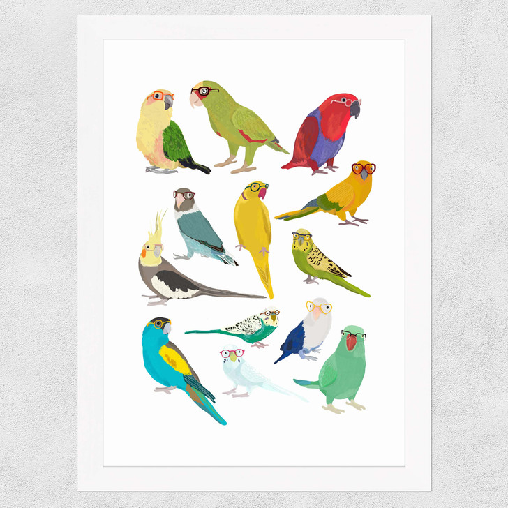 Parrots Wide White Frame Parrots Wide White Frame