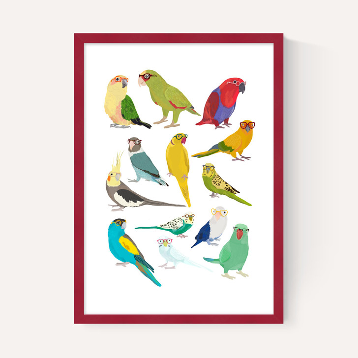 Parrots
