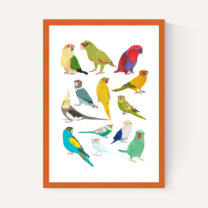 Parrots