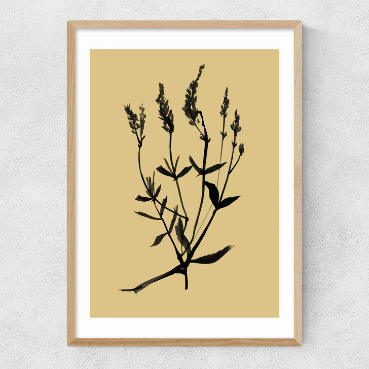 Mono Botanical 7 Narrow Oak Frame Mono Botanical 7 Narrow Oak Frame