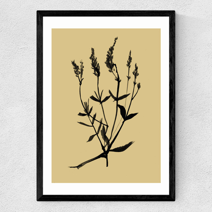 Mono Botanical 7