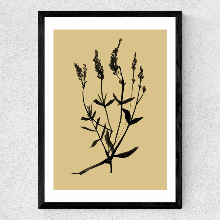 Mono Botanical 7 Medium Black Frame
