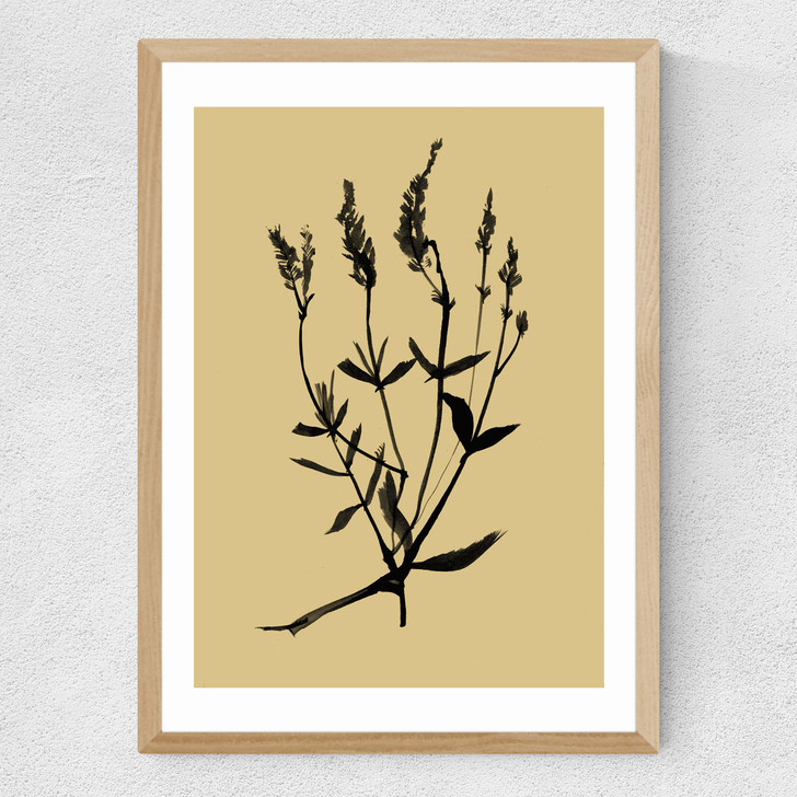 Mono Botanical 7