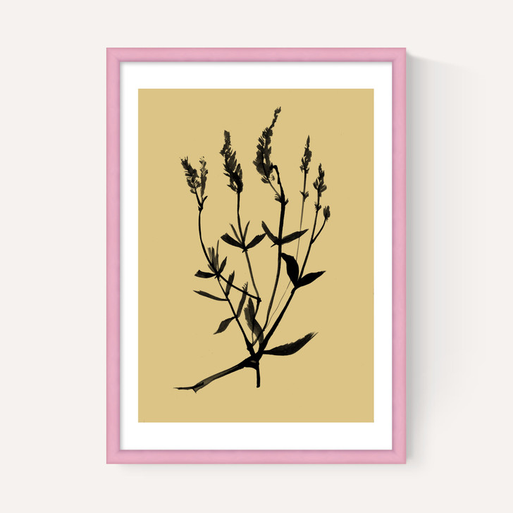 Mono Botanical 7