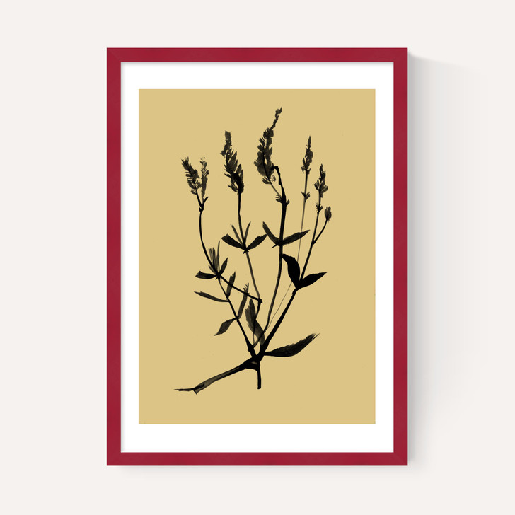Mono Botanical 7