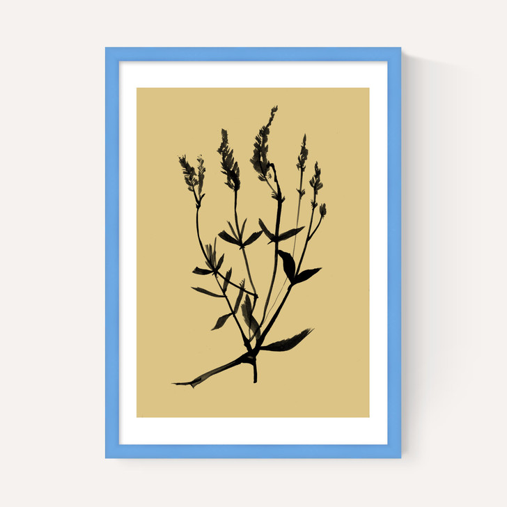 Mono Botanical 7