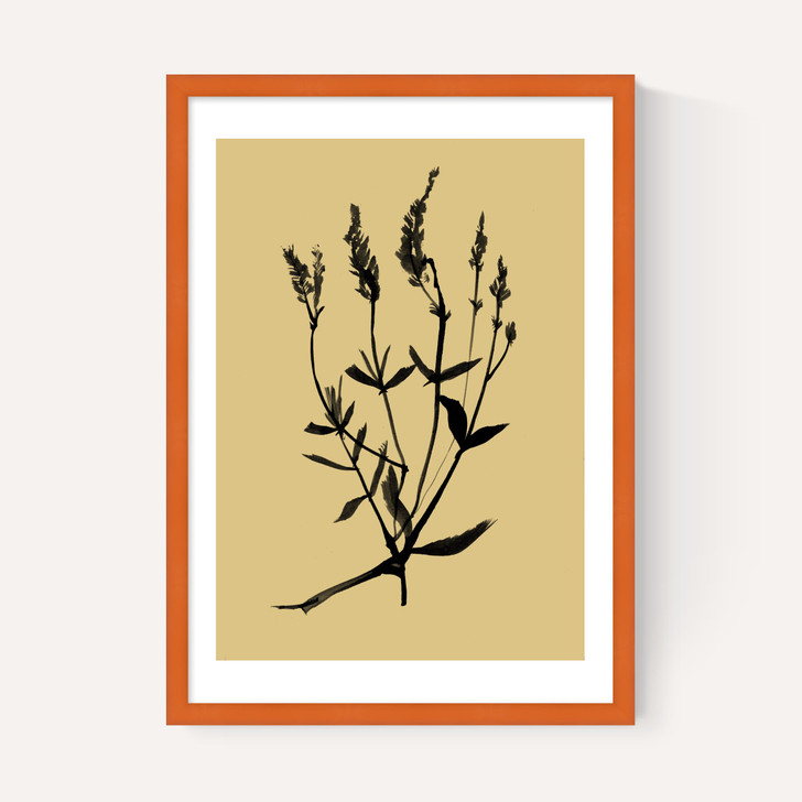 Mono Botanical 7