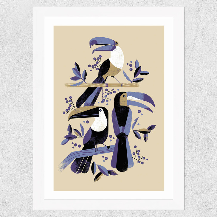 Toucans Wide White Frame