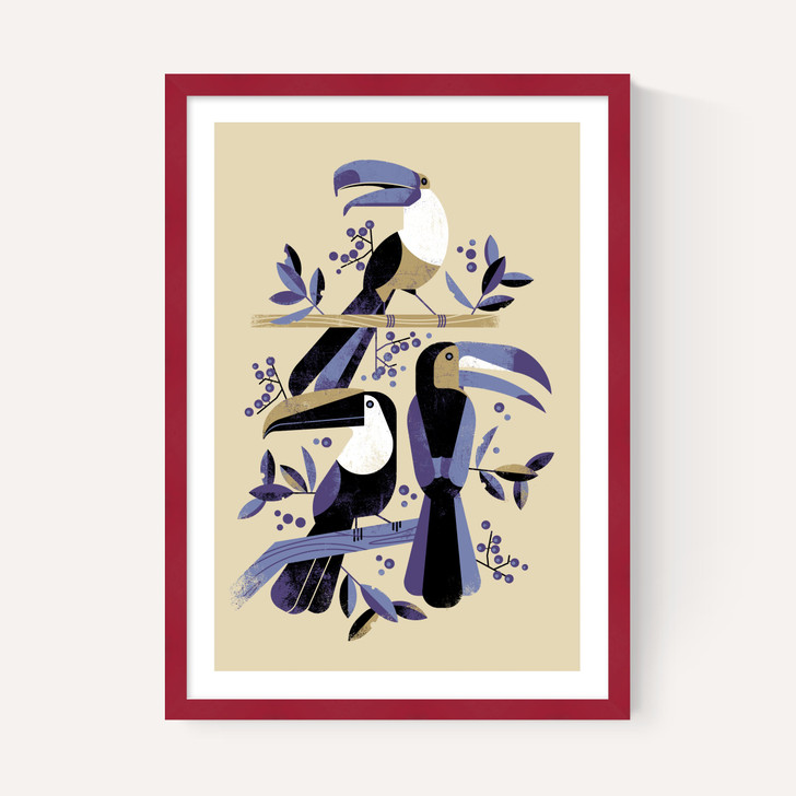 Toucans