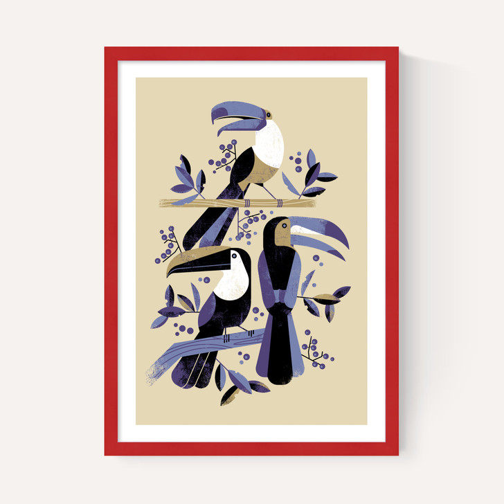 Toucans