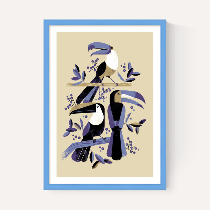 Toucans