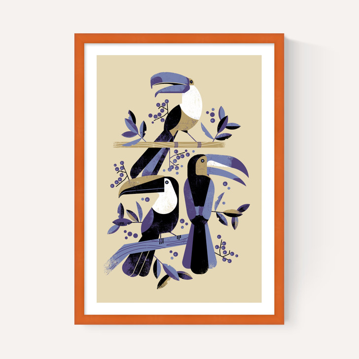 Toucans