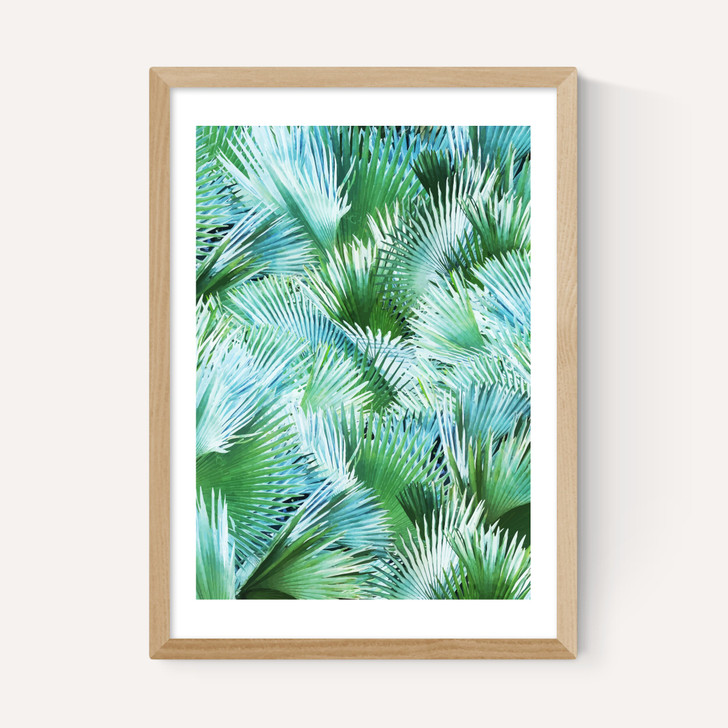 Palm Dreamer