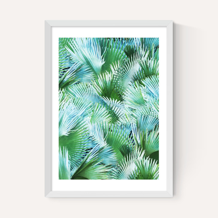 Palm Dreamer