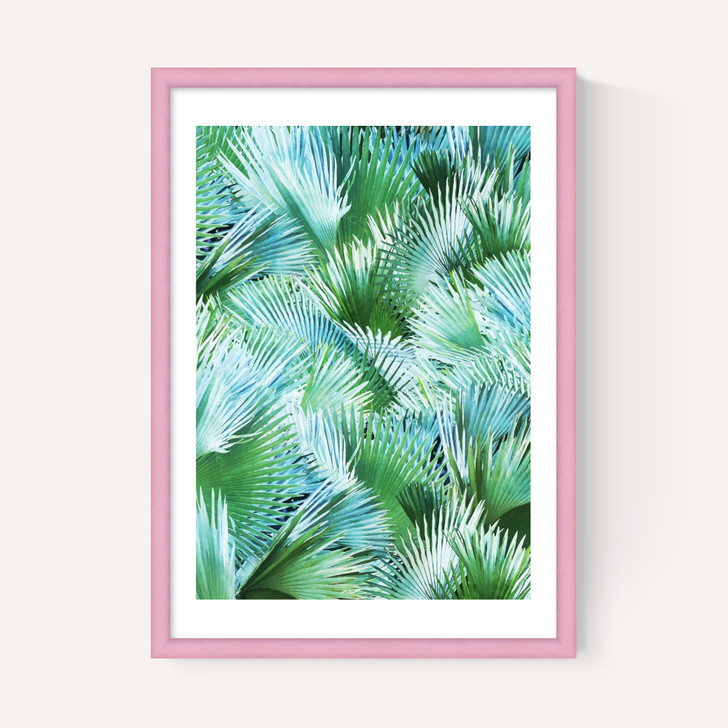 Palm Dreamer