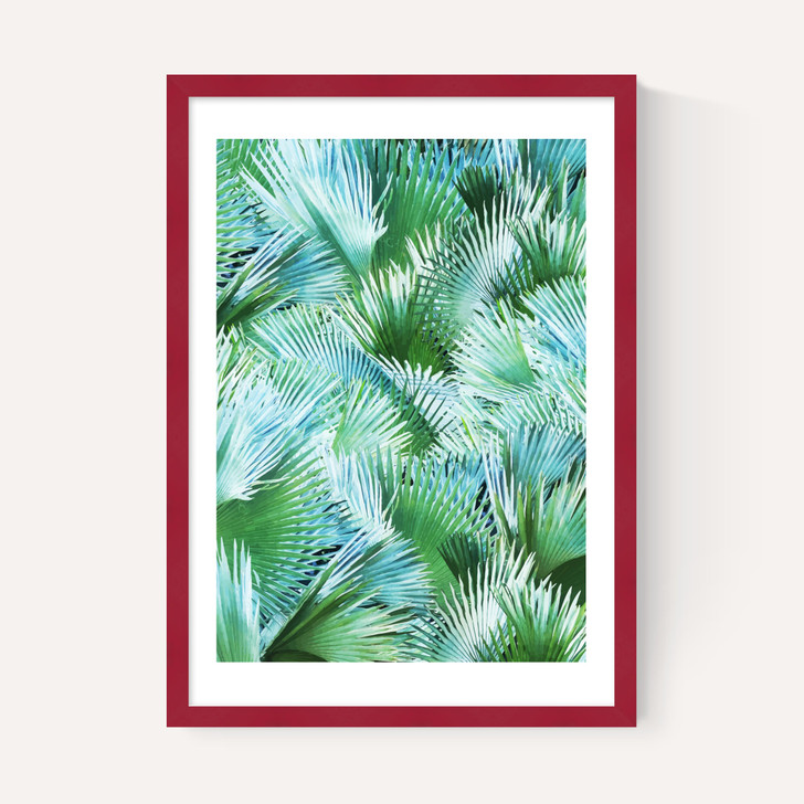 Palm Dreamer
