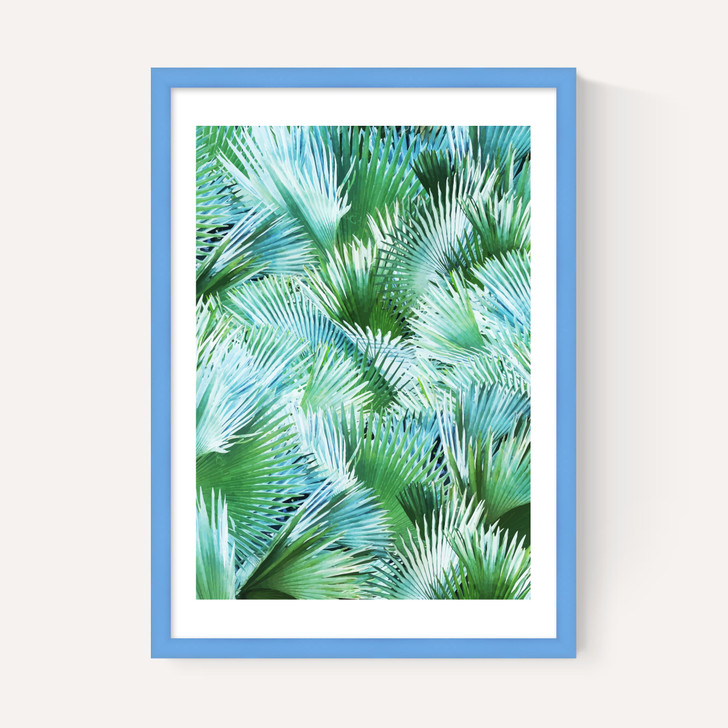 Palm Dreamer