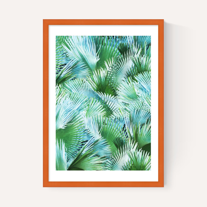 Palm Dreamer