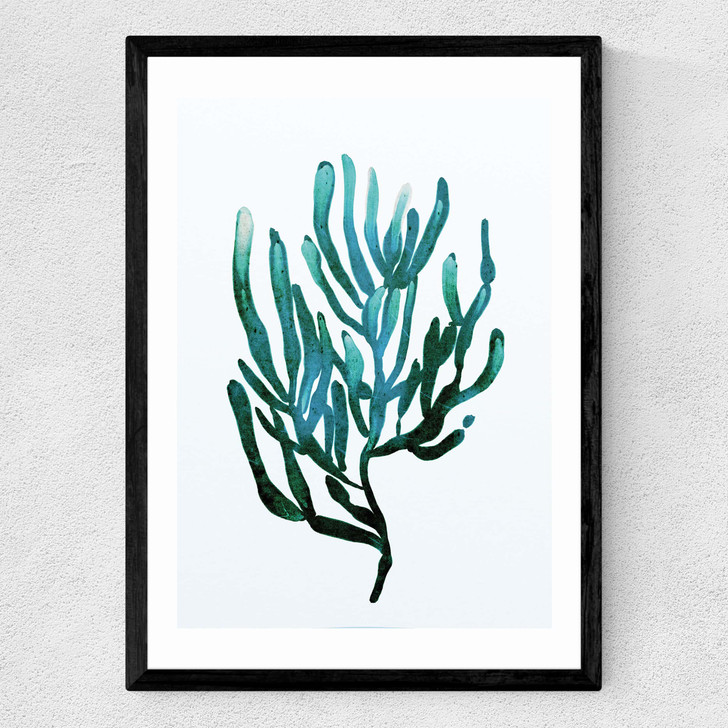 Seaweed by Dan Hobday Medium Black Frame Seaweed by Dan Hobday Medium Black Frame