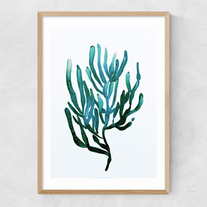 Seaweed by Dan Hobday Narrow Oak Frame Seaweed by Dan Hobday Narrow Oak Frame