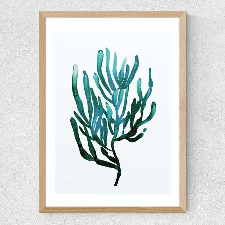 Seaweed by Dan Hobday Medium Oak Frame Seaweed by Dan Hobday Medium Oak Frame