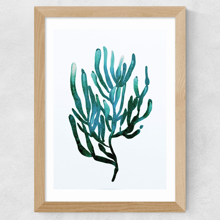 Seaweed by Dan Hobday Wide Oak Frame Seaweed by Dan Hobday Wide Oak Frame