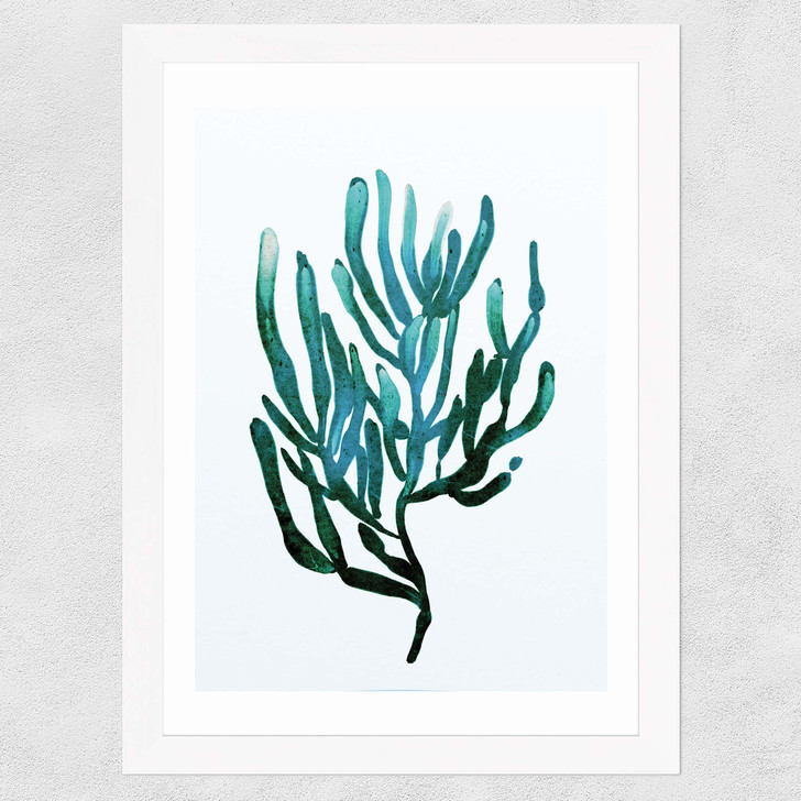 Seaweed by Dan Hobday Wide White Frame Seaweed by Dan Hobday Wide White Frame