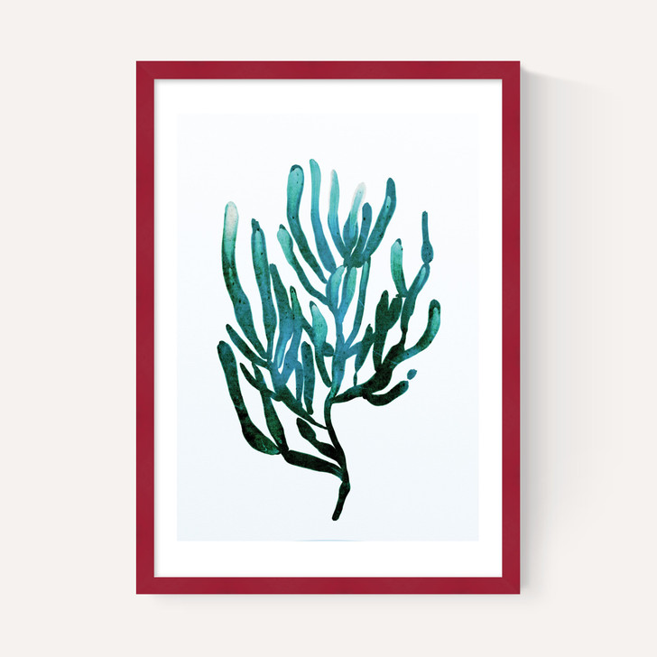 Seaweed by Dan Hobday