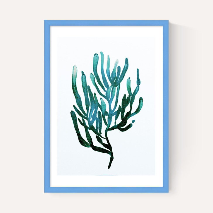 Seaweed by Dan Hobday