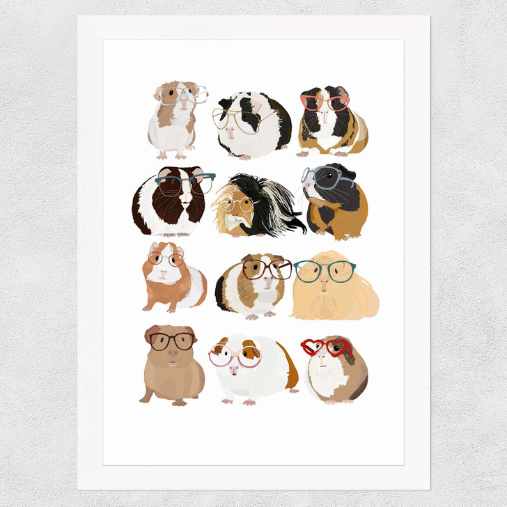 Guinea Pigs Wearing Glasses Wide White Frame Guinea Pigs Wearing Glasses Wide White Frame