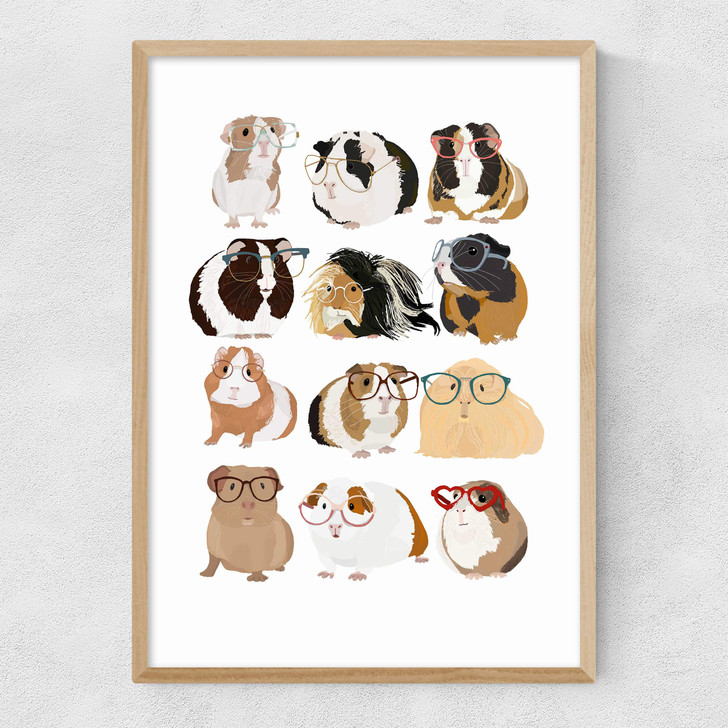 Guinea Pigs Wearing Glasses