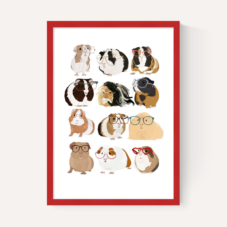Guinea Pigs Wearing Glasses
