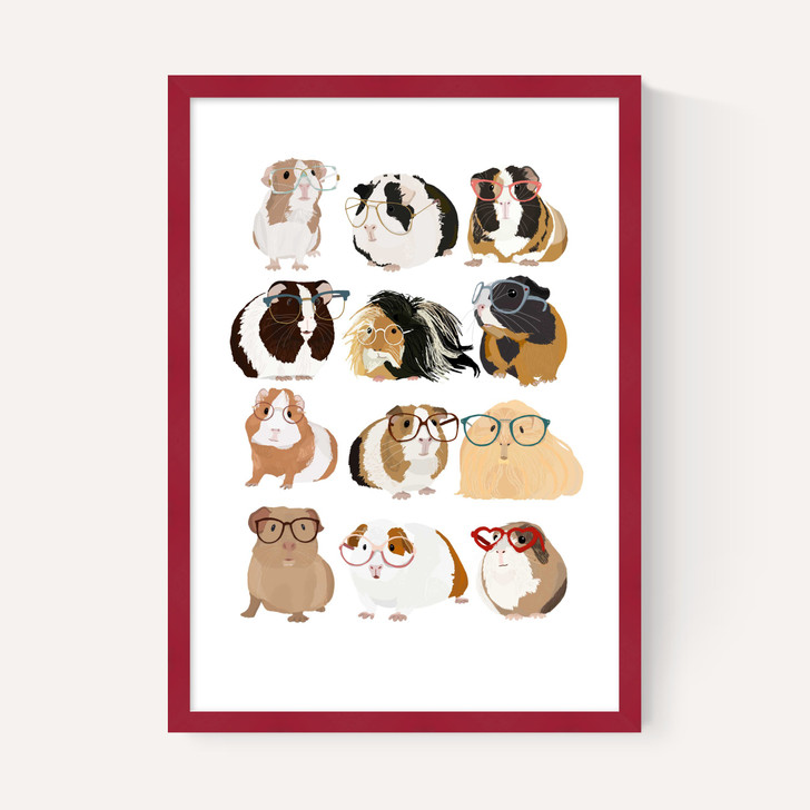 Guinea Pigs Wearing Glasses