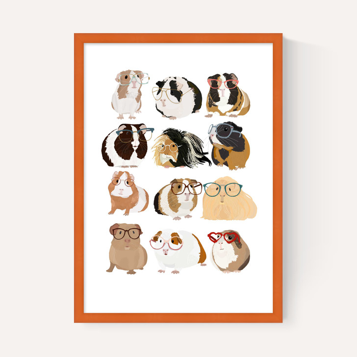 Guinea Pigs Wearing Glasses