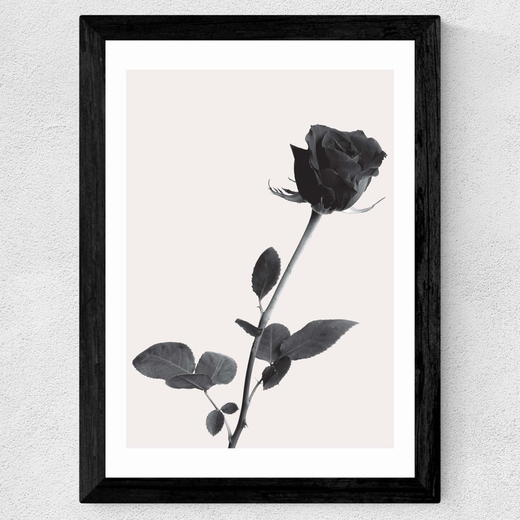 One Rose Wide Black Frame