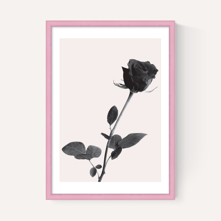 One Rose