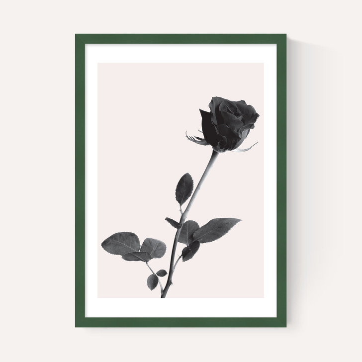 One Rose