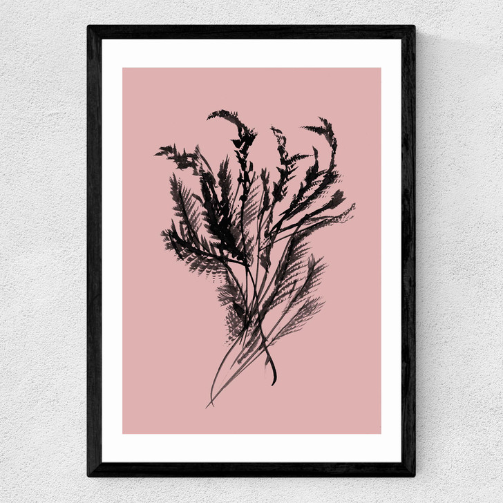 mono botanical 2 art print by dan hobday in black frame
