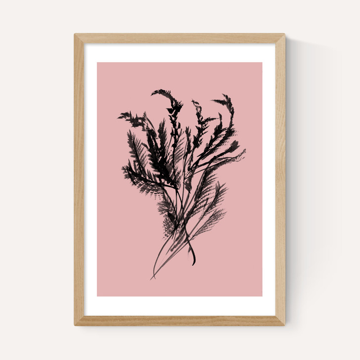 Mono Botanical 2