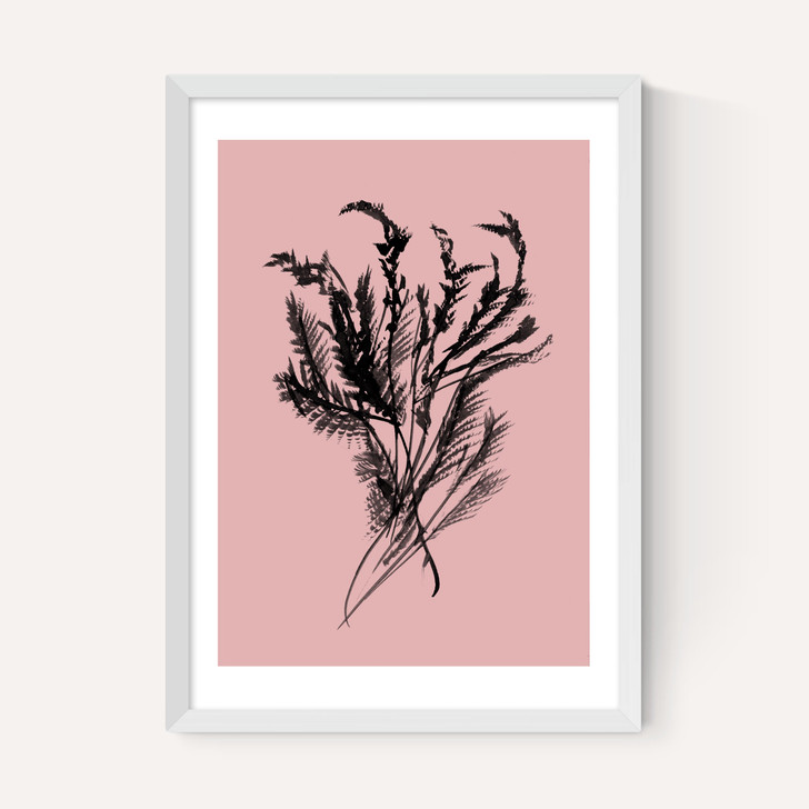 Mono Botanical 2