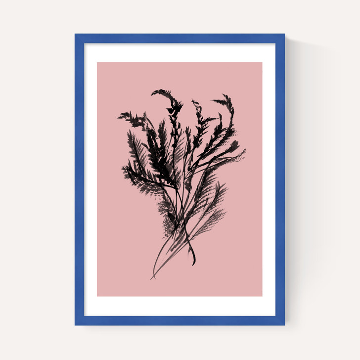 Mono Botanical 2