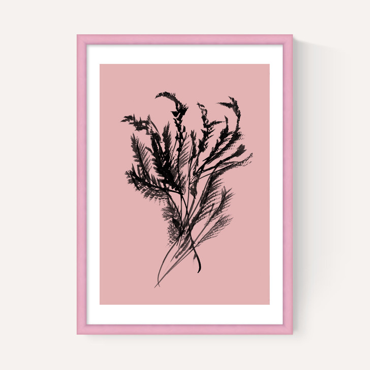 Mono Botanical 2